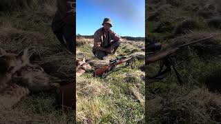 338 win mag 2 deer with 1 shot [upl. by Raycher590]