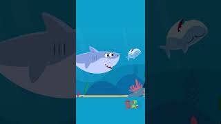 Happy Finny The Shark Week babyshark finnythesharkweek kidssongs [upl. by Adlin]