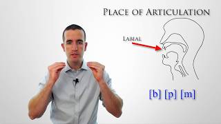 How to Learn Pronunciation through Movement [upl. by Samuele361]