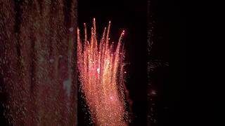 Traumhafter Feuertopf 🔥😱 fireworks feuerwerk pyro [upl. by Rammaj]