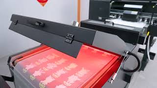 High Quality Epson I3200A1 60CM DTF Printer for TShirt Printing [upl. by Barayon468]