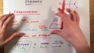 Ethanol  GCSE Chemistry [upl. by God]