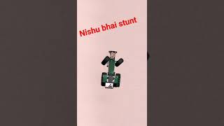 Nishubhaistunt [upl. by Atival86]