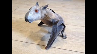 Is the Hammerhead Bat a real animalthe flying mammal with the head of puppy [upl. by Eilrahc]