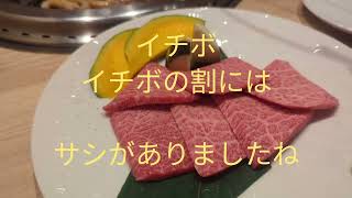 ＃岐阜市＃焼肉＃肉家まつひさ 岐阜市の焼肉屋は？ レベル高いなあ（笑）しかし潰れた。 [upl. by Yurt132]