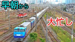 【首都の中枢】東京貨物ターミナルは早朝から大忙し【貨物列車が次々に到着】Freight trains of Tokyo freight terminal [upl. by Celene]