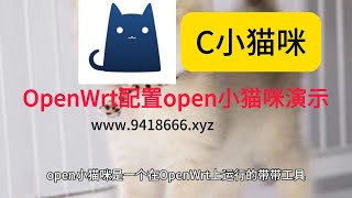 OpenWrt配置open小猫咪演示 [upl. by Ellehcrad]