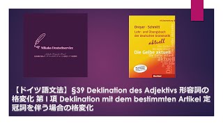 【ドイツ語文法】§39 形容詞の格変化 第 I 項 Deklination mit dem bestimmten Artikel 定冠詞を伴う場合の格変化 [upl. by Diego644]