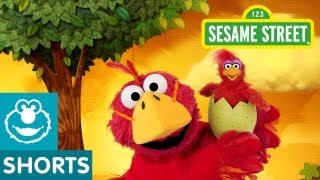 Sesame Street Bird Musical Preview  Elmo the Musical [upl. by Notrem]