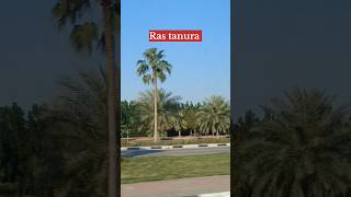 Beautiful Placerastanura youtubeshorts viral ksa explore shortsvideo youtubefeed shorts [upl. by Jahdai111]