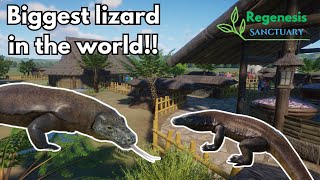 Komodo dragon habitat  Realistic breeding zoo [upl. by Jews]