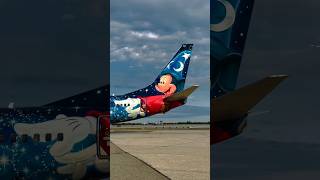 Westjet Boeing 737800 Disney World [upl. by Cowley]