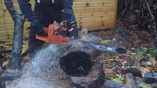 262xp and A Kelly Dandenong tassie getting firewood in the rain Also featuring a Collins 412 Axe [upl. by Ahsaeym773]