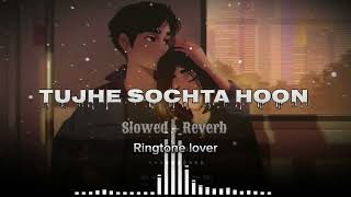 Tujhe Sochta Hoon । Lofi songs। Bollywood songs। Jannat 2। Emraan Hashmi [upl. by Ann-Marie456]