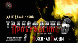 «Трансформа Книга 6 Пробуждение»  Глава 1 [upl. by Lebbie218]