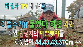 해결사박현철TV 14화 인평지의 사짜대물들 [upl. by Reni873]