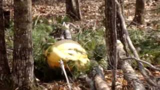 Yarding Firewood in Steep Terrain with Portable Winch [upl. by Schaaff563]