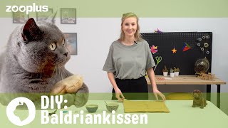 DIY Baldriankissen für Katzen selber machen  Tierisch einfach DIY mit Luisa  zooplus [upl. by Sad627]