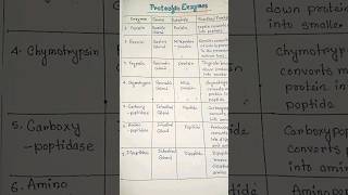 proteolytic enzymes and their functions physiologybiology neetbiology shortsfeedshorts [upl. by Nyraa707]