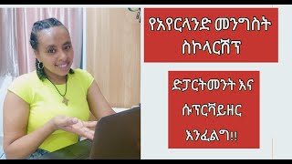 How to Find Supervisors and Departments for Ireland Postgraduate Scholarship  Ethiopian Applicants [upl. by Cerellia732]