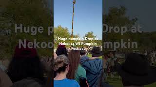 Everyone running for the giant pumpkin seeds to plant for next year’s giant pumpkin contest [upl. by Malanie730]