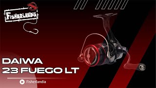 NUOVO DAIWA FUEGO 2024  VOTO FINALE [upl. by Adnovoj24]