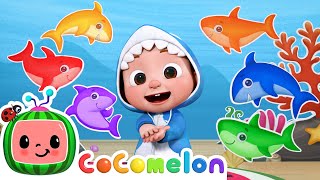 Baby Shark Learns Colors  CoComelon Nursery Rhymes amp Kids Songs [upl. by Gundry]