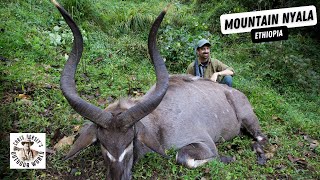 Monster Mountain Nyala in Ethiopia [upl. by Vitale]