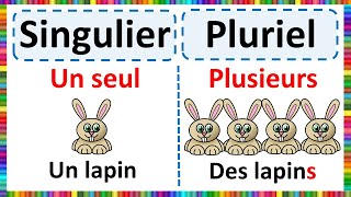 Grammaire  Apprendre le Singulier et le Pluriel [upl. by Enyale]