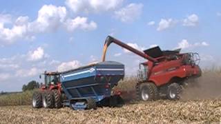 Case IH 8120 AxialFlow Combine Unloading on the Go [upl. by Flodnar]