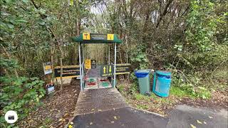 Kauri Glen Treetops Loop Walk [upl. by Ydnas]