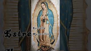 📿🌟Ofrece los 46 Rosarios Guadalupanos lo que tú necesites Lee la OraciónBajo tu Amparo Mi Morenita [upl. by Novled776]