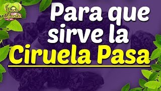 Beneficios De La Ciruela Pasa Para Que Sirve La Ciruela Pasa [upl. by Ellesirg11]