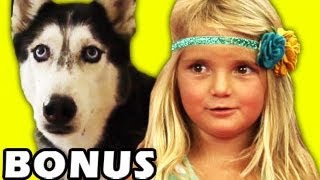 BONUS  Kids React to Husky Dog Talking [upl. by Anuaik]