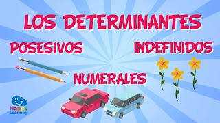 Los determinantes posesivos numerales e indefinidos  Vídeo Educativo para Niños [upl. by Neiv]