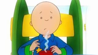 Caillou  DvD8 Español  Dibujos Infantiles [upl. by Eniksre]