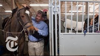 Jumping for Show Drug Abuse in the Equestrian World  The New York Times [upl. by Senskell]