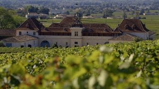 France’s SaintEmilion A red wine lover’s paradise [upl. by Krause131]