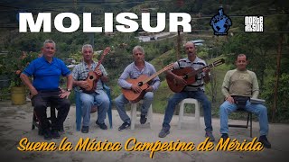 Molisur Musica Campesina de Canaguá para el Mundo🎶🌄 [upl. by Beltran]