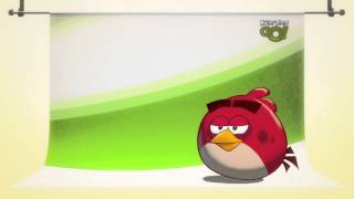 Angry Birds Seasons iPhone App Review [upl. by Ellsworth]