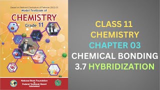 37 Hybridization Chemical Bonding Chapter 3 Chemistry Class 11 FBISE New Syllabus 2024 NBF [upl. by Amoeji]