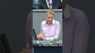 Alice Weidel Entlastung für Facharbeiter  Grundfreibetrag JETZT erhöhen [upl. by Loy]