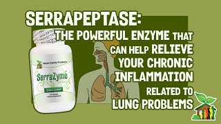 SerrapeptaseThe Powerful Enzyme That Can Help Relieve Chronic Inflammation Related To Lung Problems [upl. by Atcele]