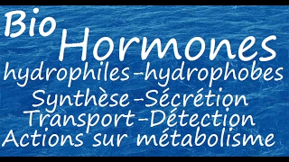 Hormones hydrophiles et hydrophobes [upl. by Denise496]