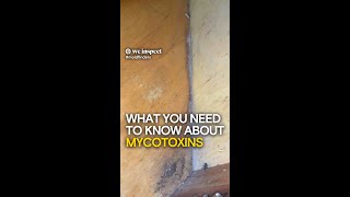 What You Need to Know About Mycotoxins [upl. by Stevenson]