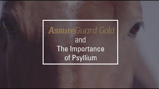 Assure Guard Gold and the Importance of Psyllium [upl. by Champ140]