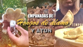 Empanadas de Hongos de álamo y Atùn [upl. by Lyrak]