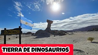 JACHAL  ISCHIGUALASTO  VALLE de la LUNA San Juan ARGENTINA lo tiene TODO  Imperdible valle [upl. by Innavoj]