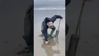 Razor Clamming on the Washington Coast [upl. by Nelleeus]