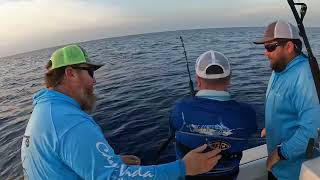 Bimini Bahamas fishing and Crossing 4CF [upl. by Zobe]